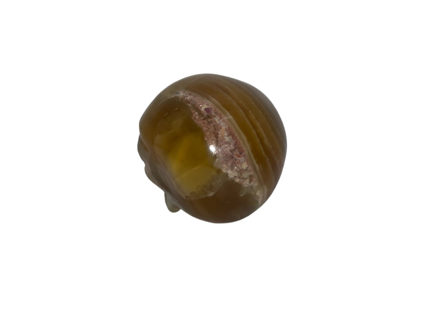 Leandro Golden Fluorite Star Child Skull