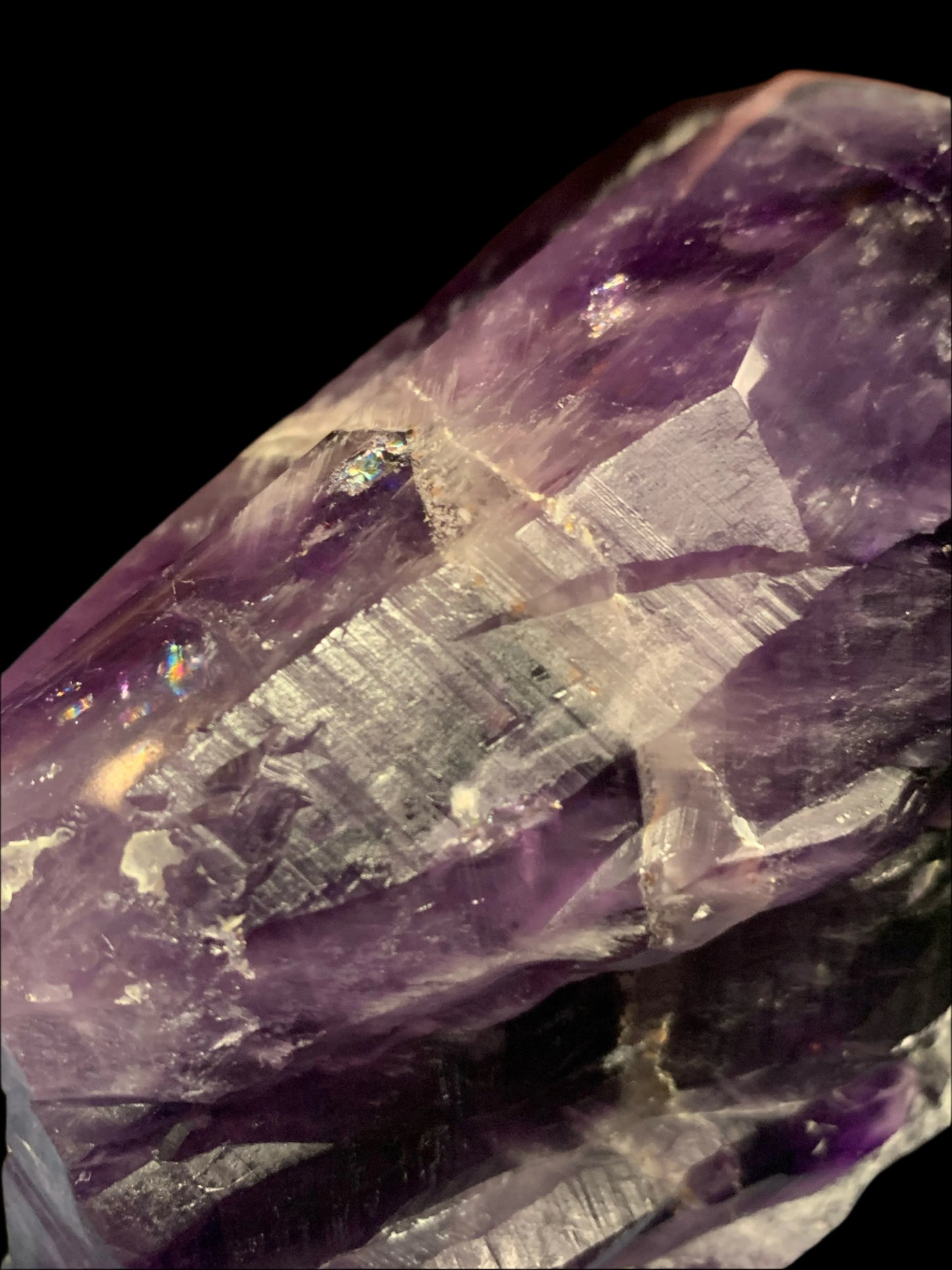 6.75" Alpine Amethyst Double Generator Skull w/ Rainbows