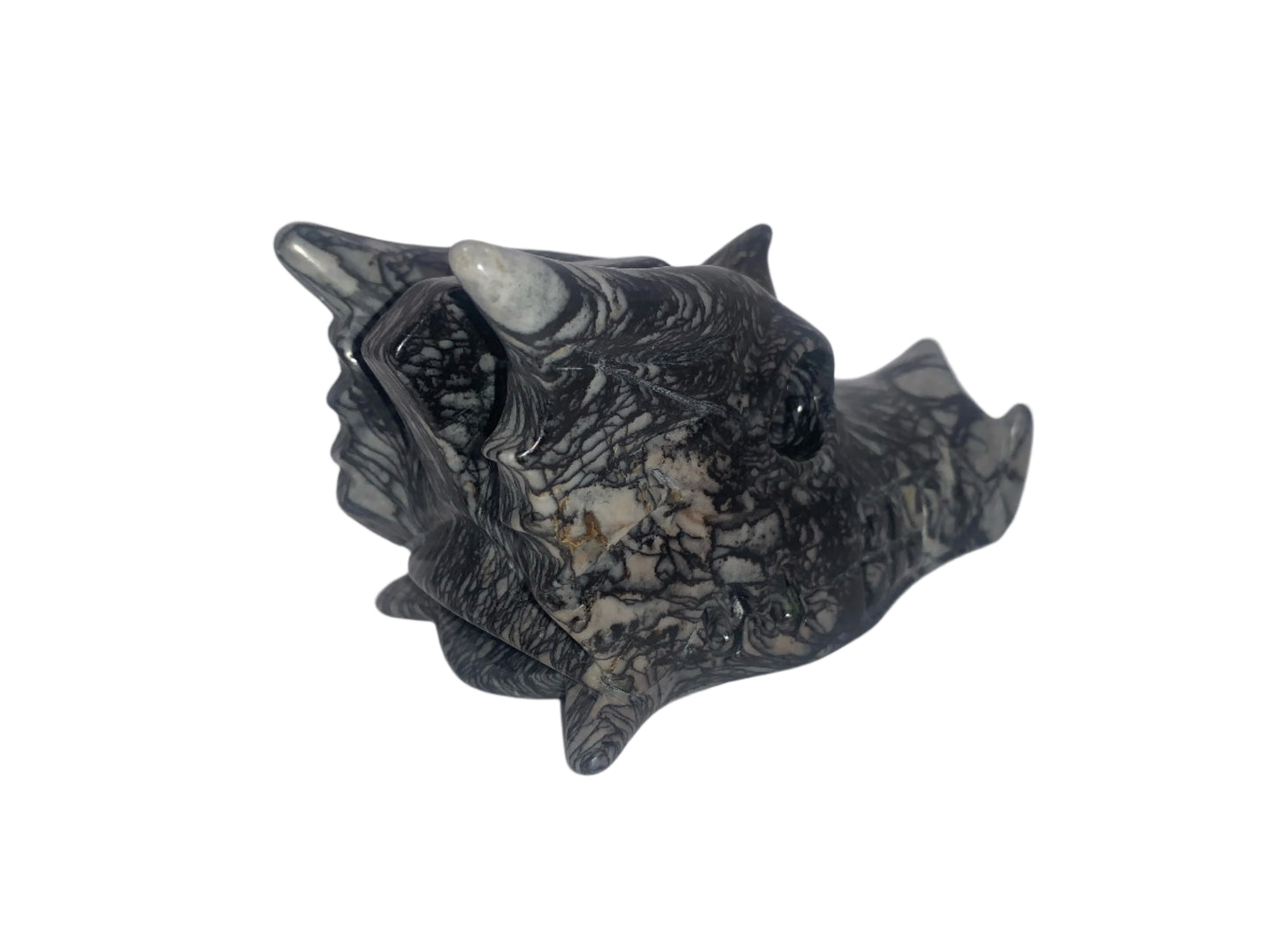 6.2" Network Jasper Dragon Skull