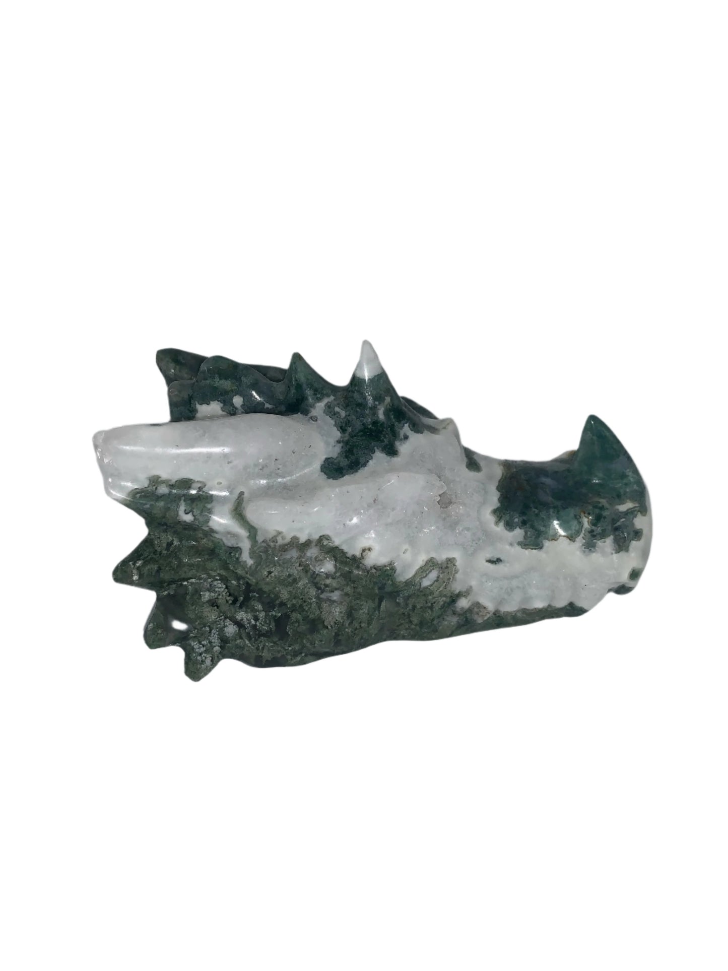 Tree Moss Agate Druzy 5.5" Dragon Skull