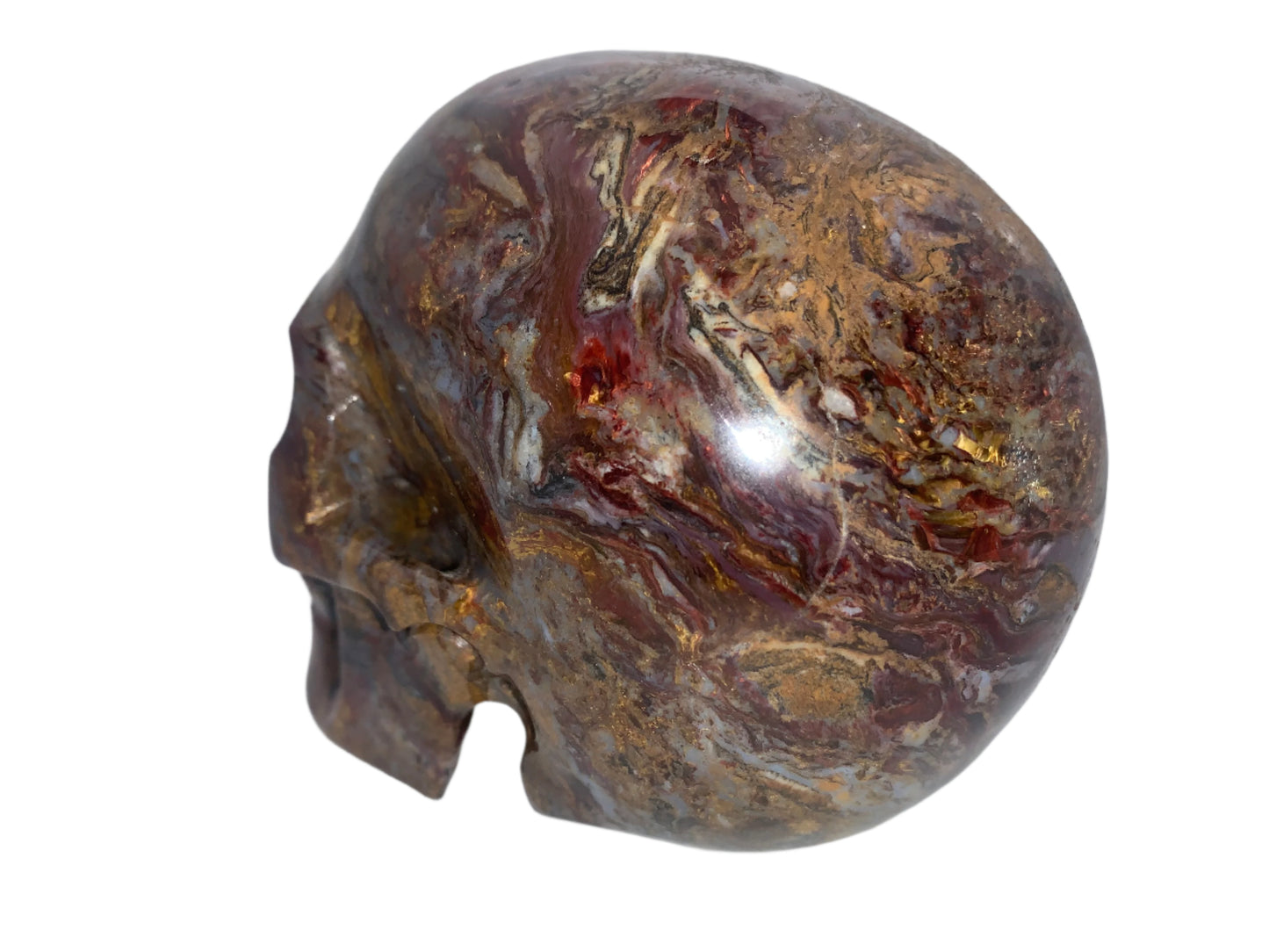 5.4" Pietersite Skull