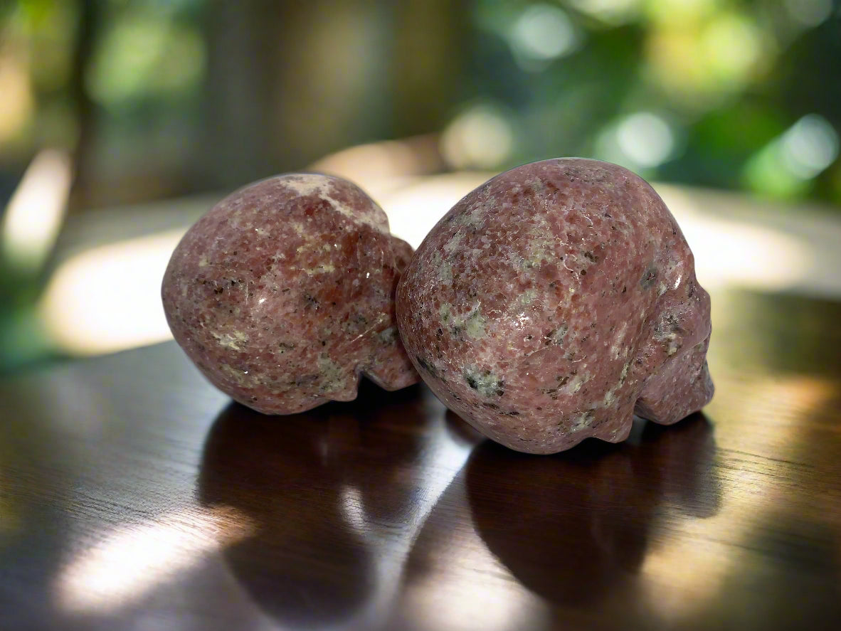 4.4" Pair Of Gatekeeper Peach Blossom Sesame Jasper Skulls