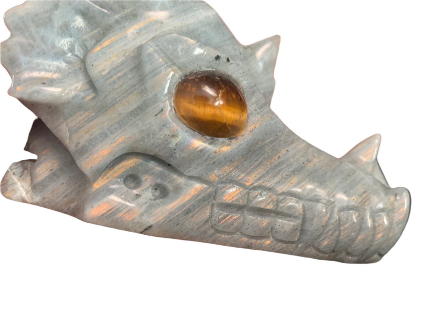 4.1" Labradorite Dragon Skull w/ Orange Chatoyancy & Tiger Eye Eyes
