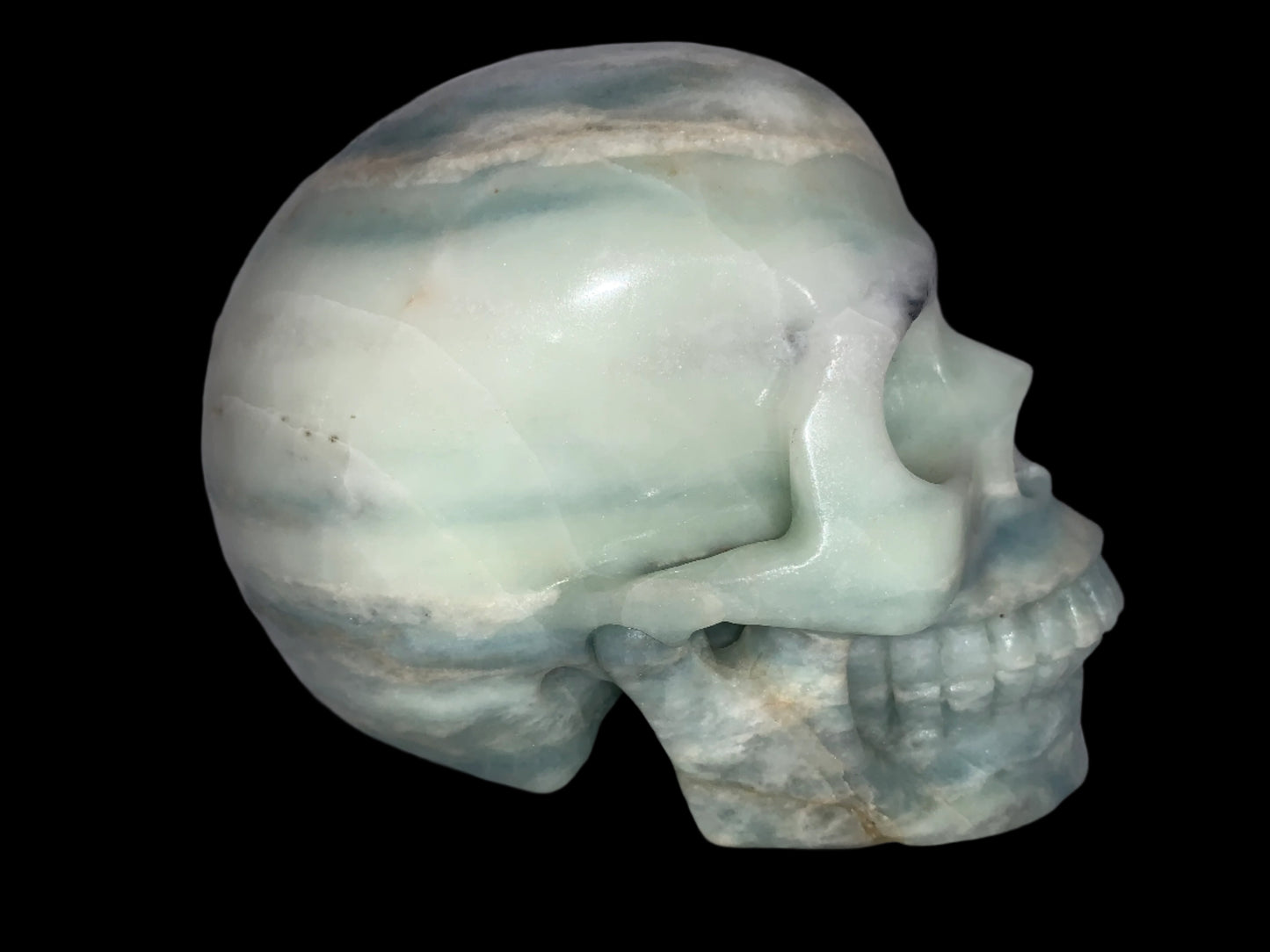 5.4" Amazonite Skull