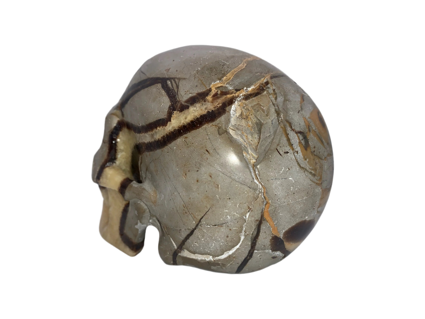 5.4" Septarian Skull