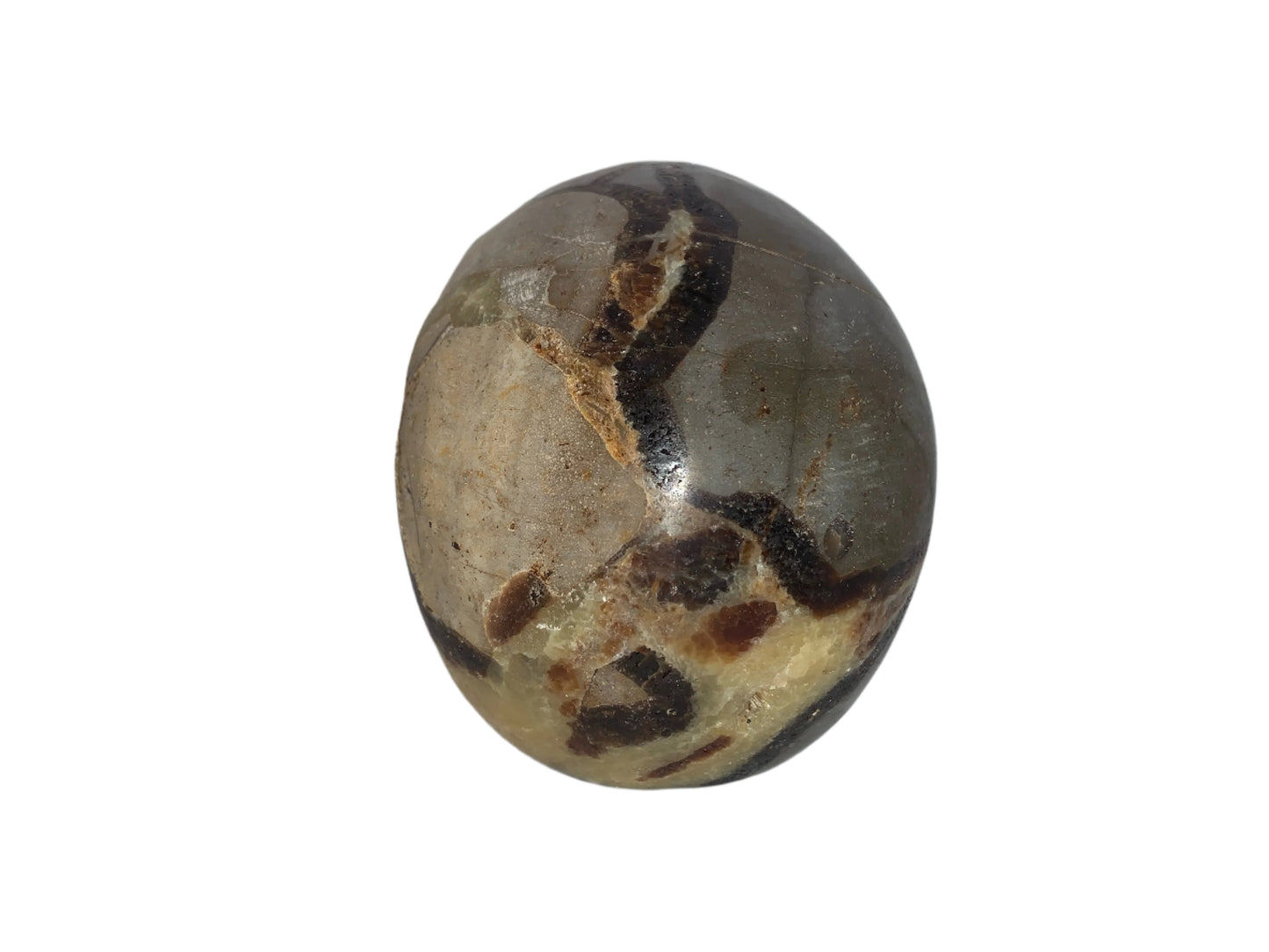 5.3" Septarian Skull