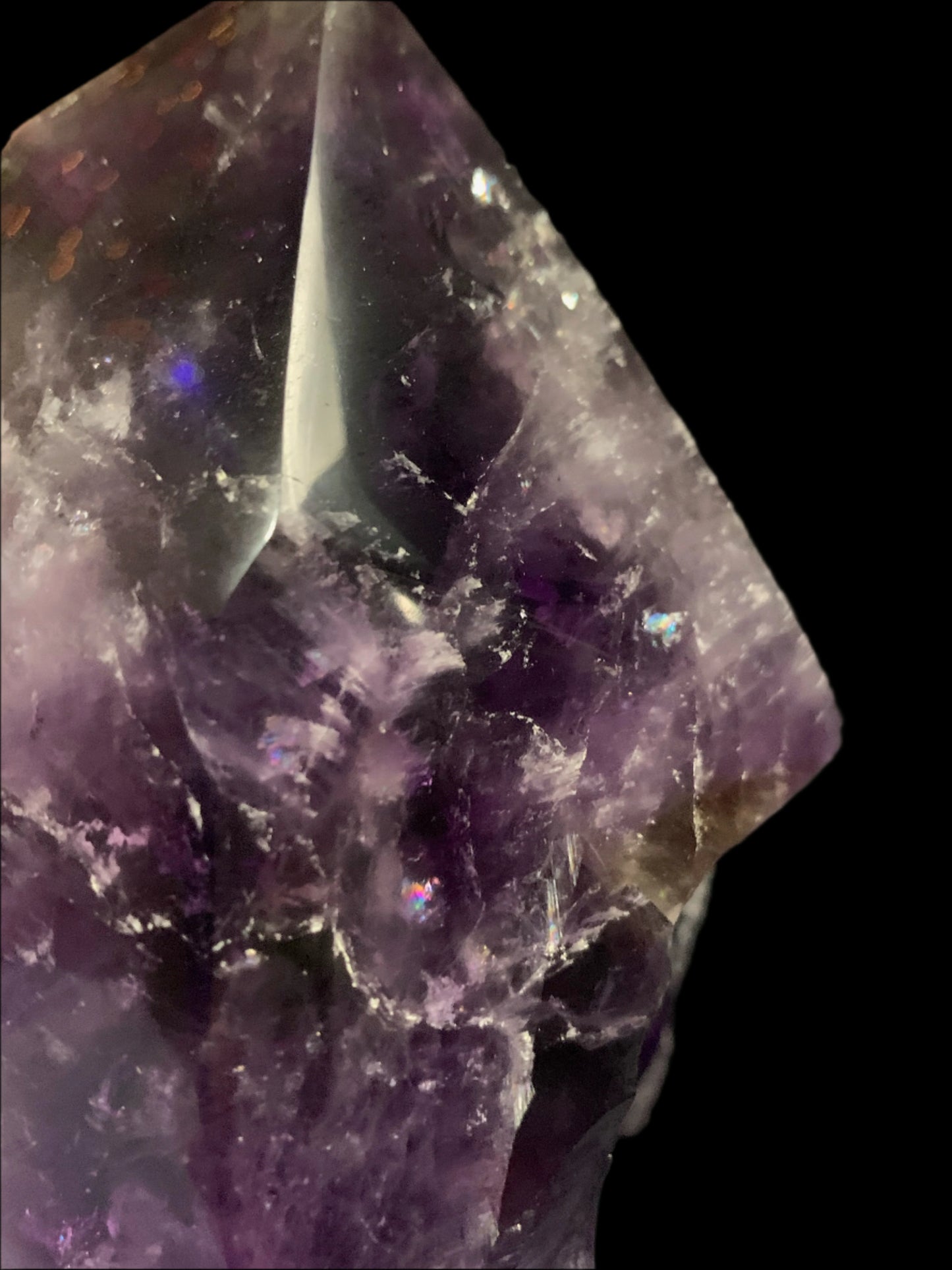 6.75" Alpine Amethyst Double Generator Skull w/ Rainbows