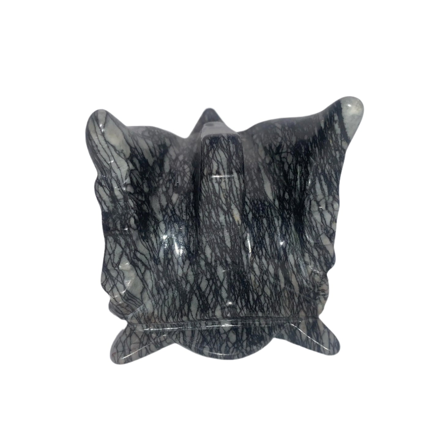 6.2" Network Jasper Dragon Skull