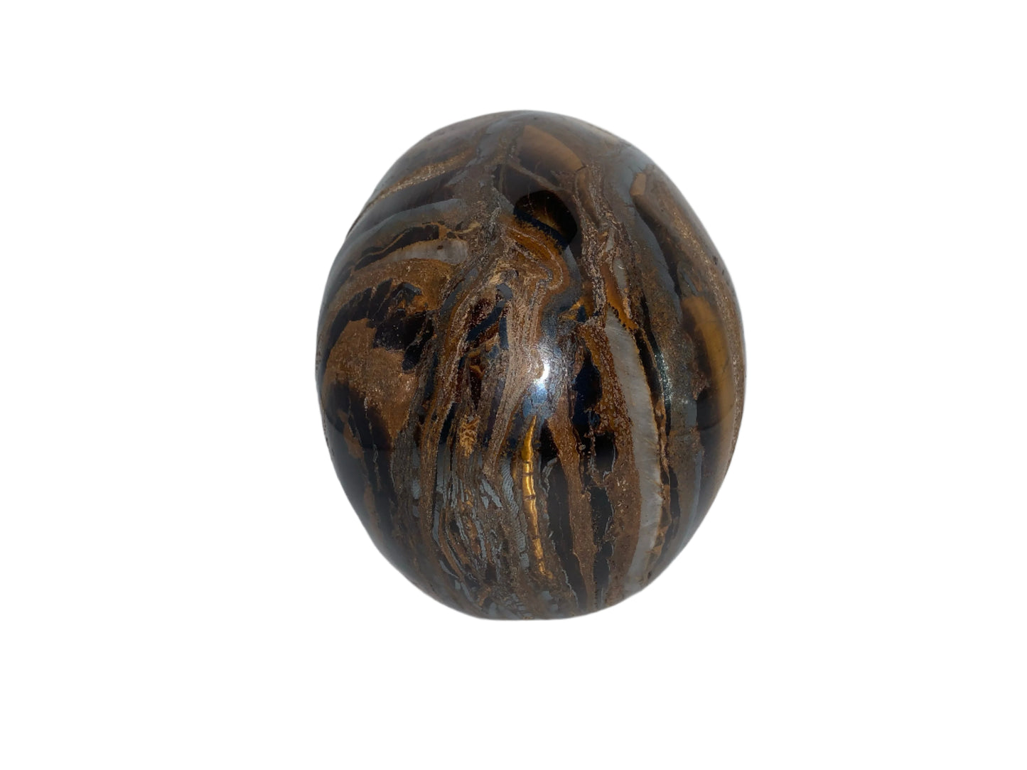 Cráneo de ojo de tigre Chatoyant de 5,2"