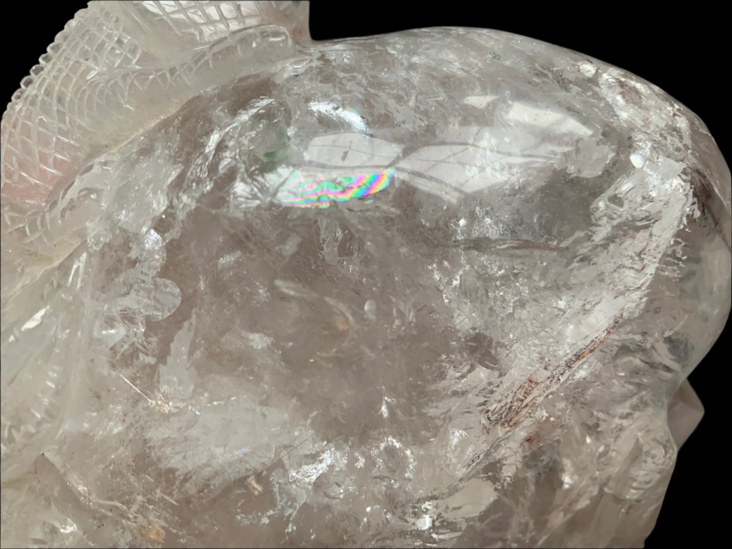 6.75" Copper Rutilated Quartz Lizard Skull w/ Rainbows