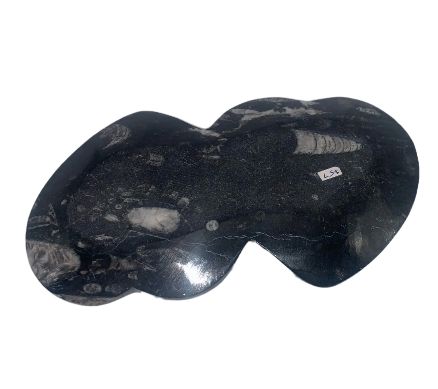 Orthoceras and Ammonite Two Hearts Dish