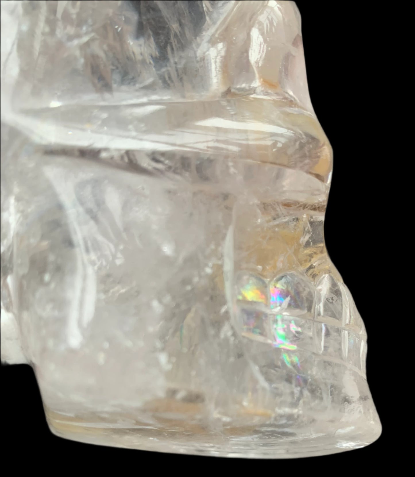 5" Himalayan Quartz Golden Healer Skull w/ Rainbows