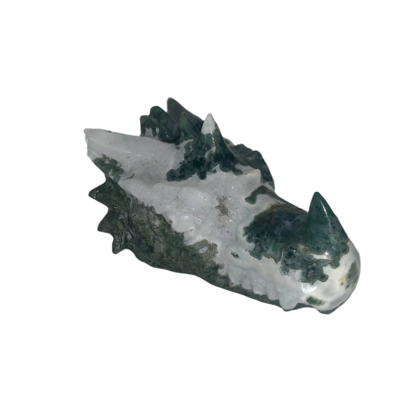 Tree Moss Agate Druzy 5.5" Dragon Skull