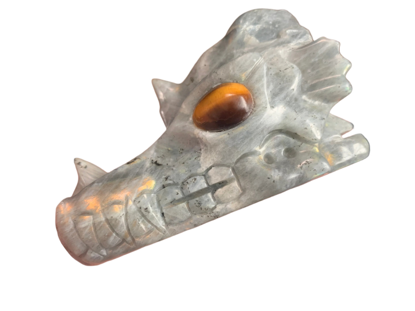 4.1" Labradorite Dragon Skull w/ Orange Chatoyancy & Tiger Eye Eyes
