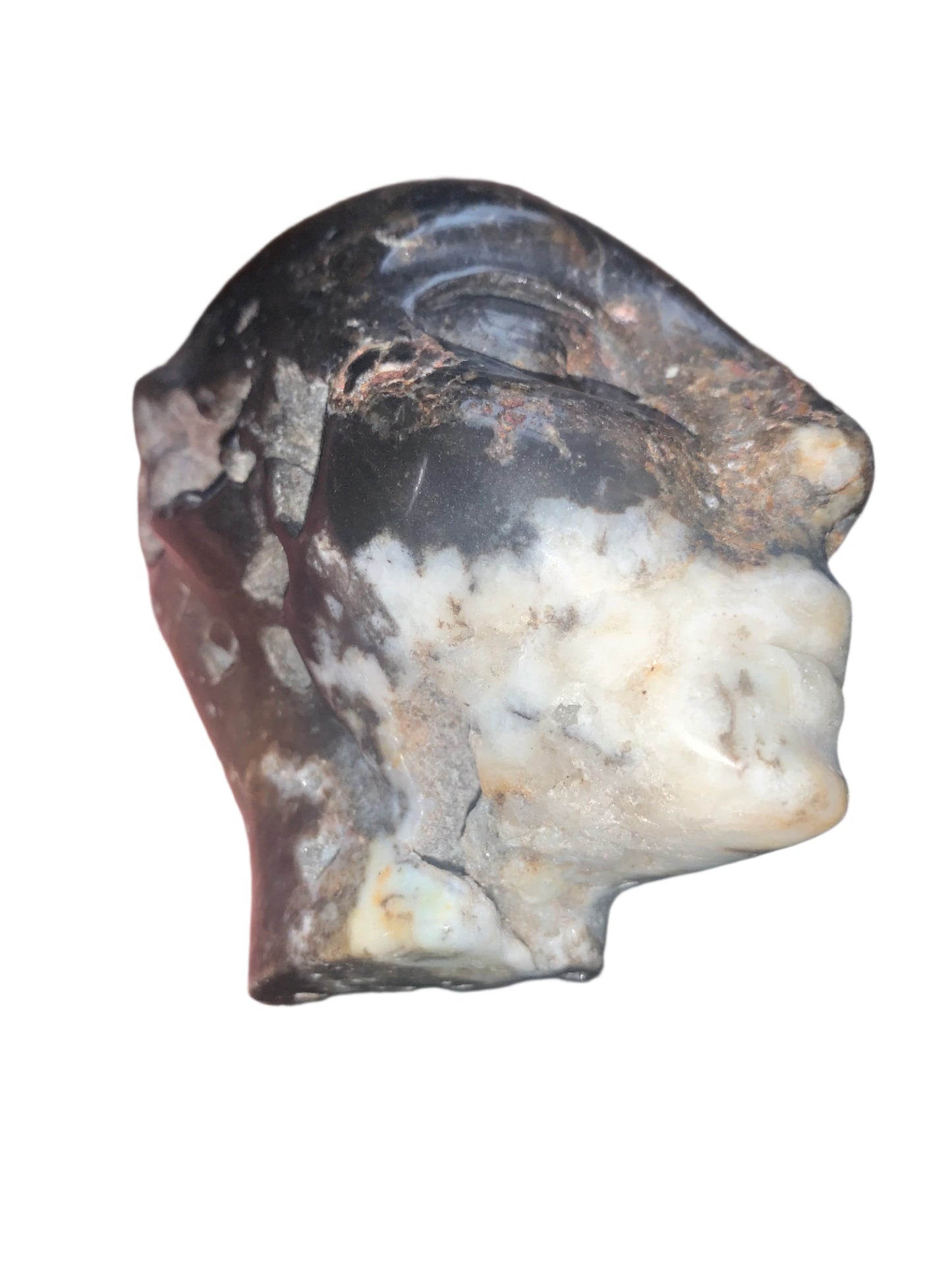 Portal elemental de calavera de ágata mixta de 4,5"