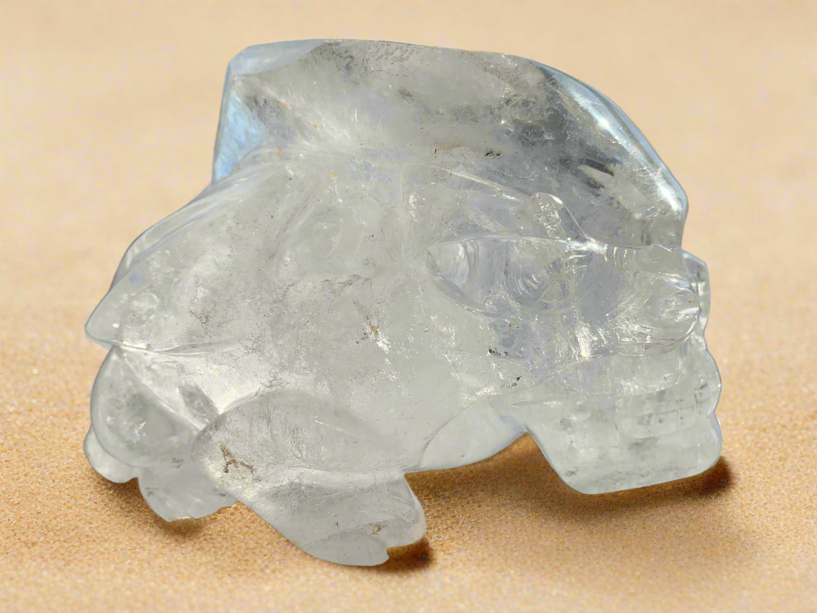 Leandro de Souza Lemurian Sirius Quartz Skull with Dragon