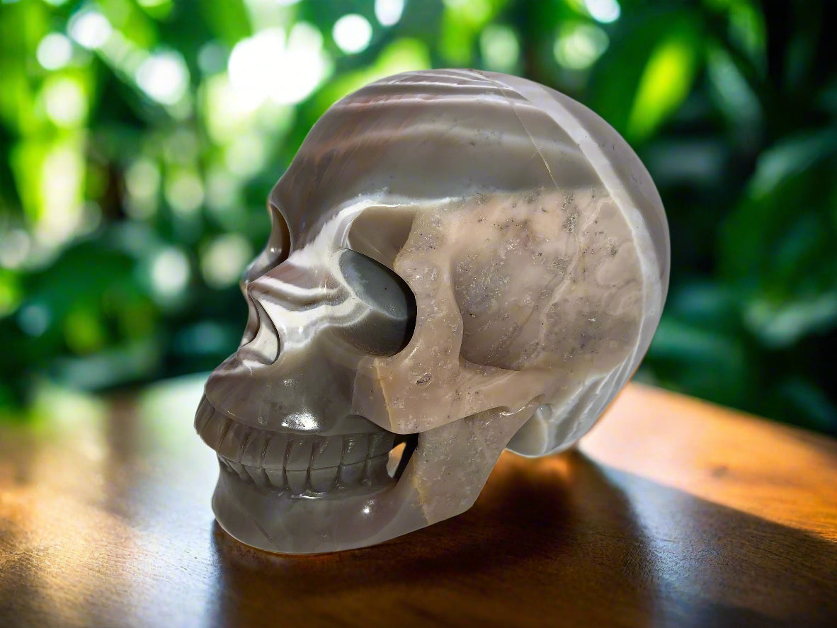 5.4" Onyx Agate Skull