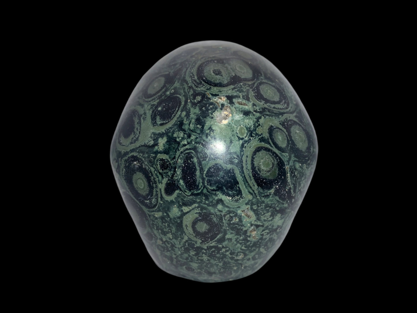 5.3" Kambaba Jasper