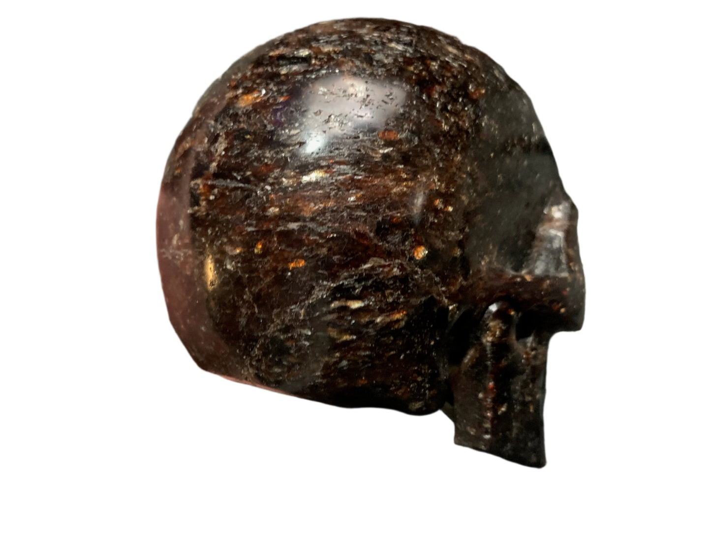 5.3" Garnet, Astrophyllite & Pyrite Skull