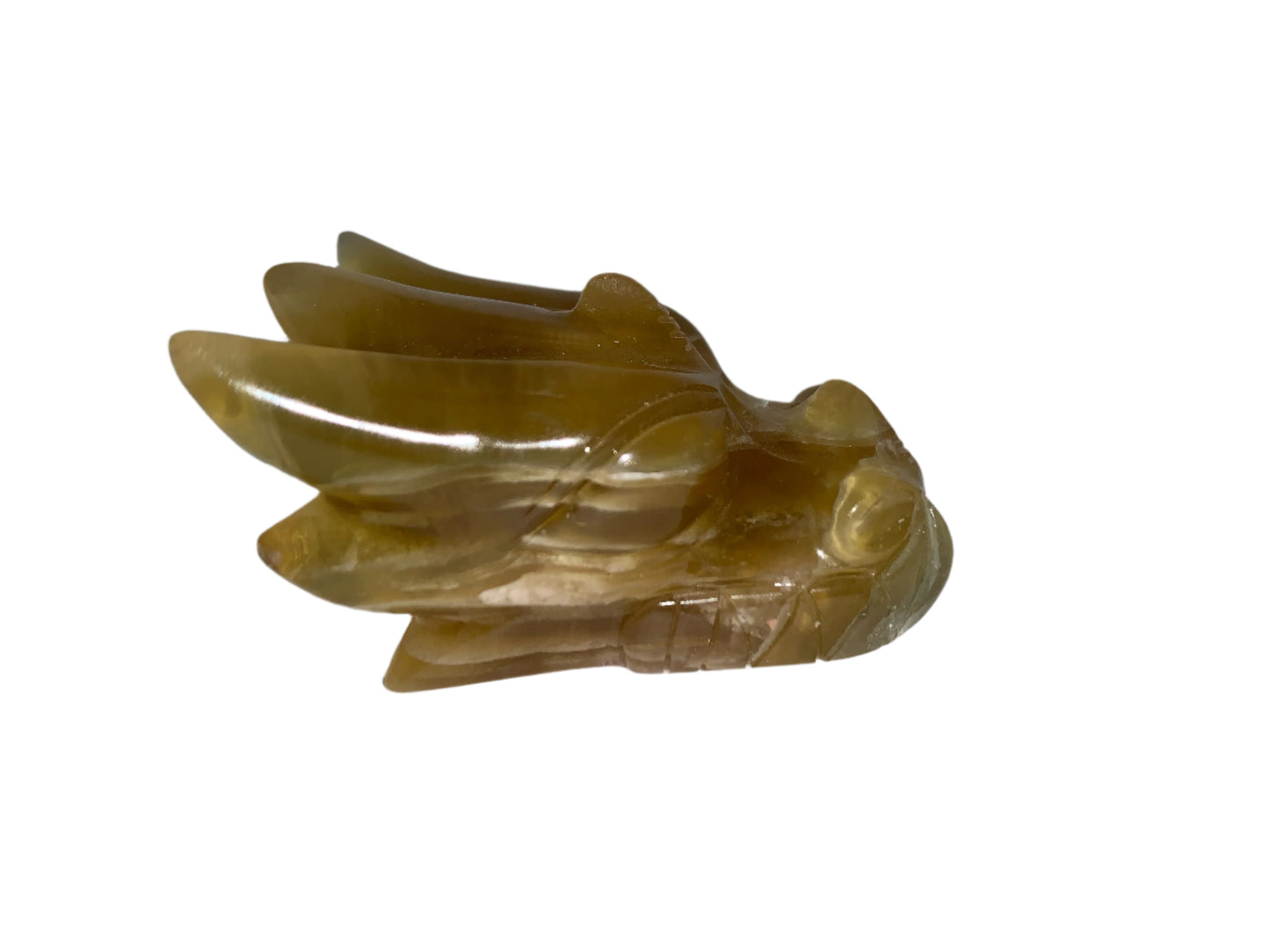 "Radiance" Leandro de Souza Golden Fluorite Dragon Skull w/ Rainbows