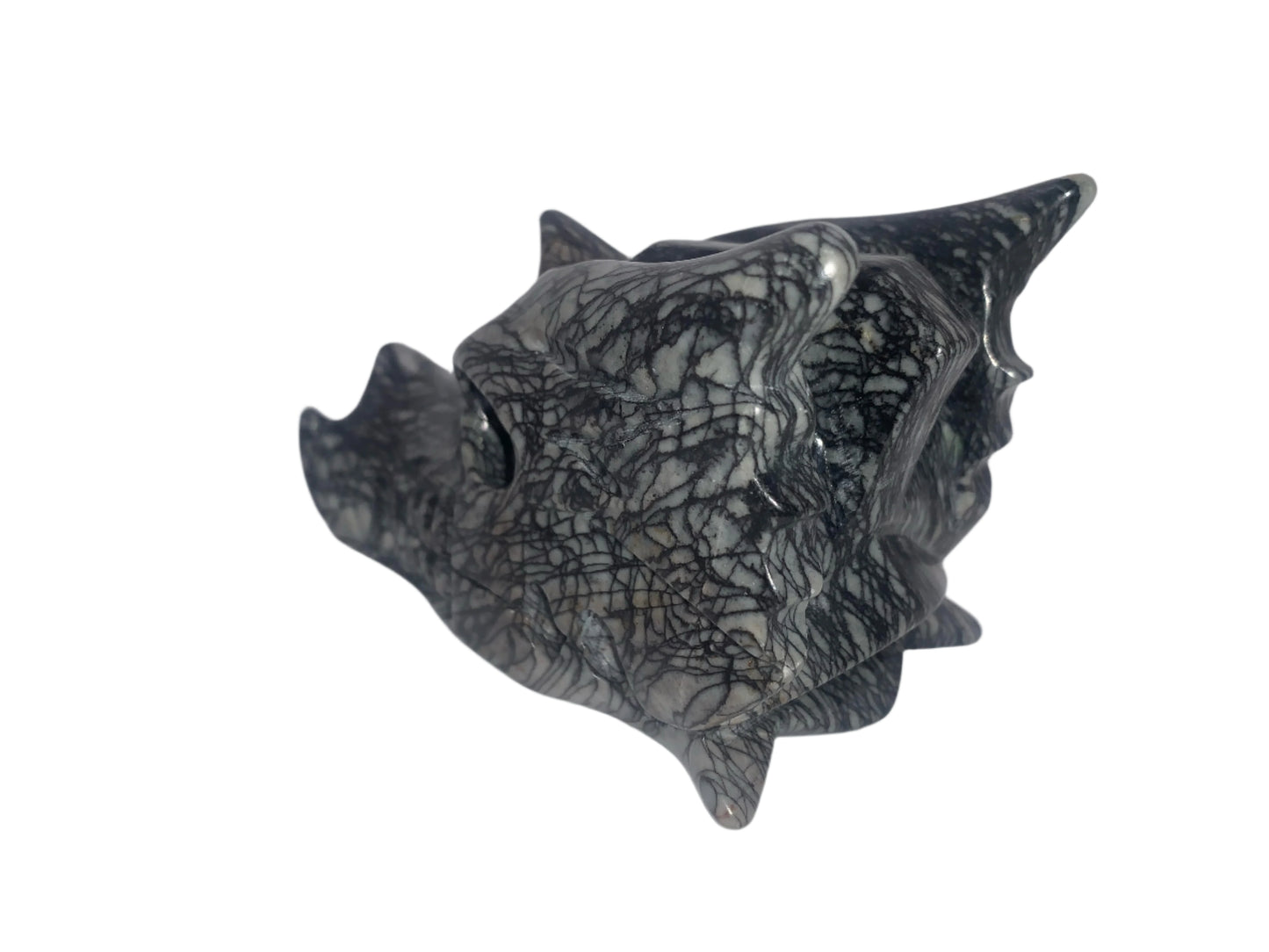 6.2" Network Jasper Dragon Skull