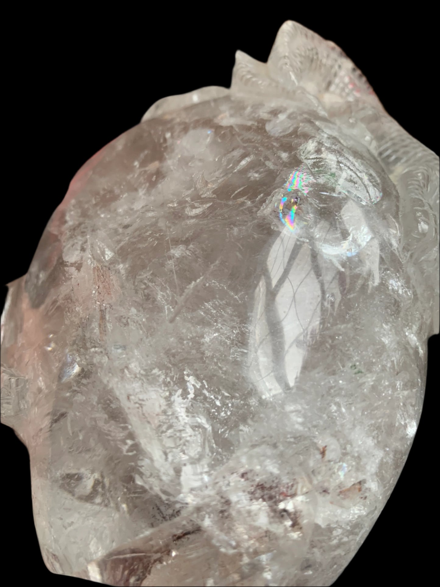 6.75" Copper Rutilated Quartz Lizard Skull w/ Rainbows