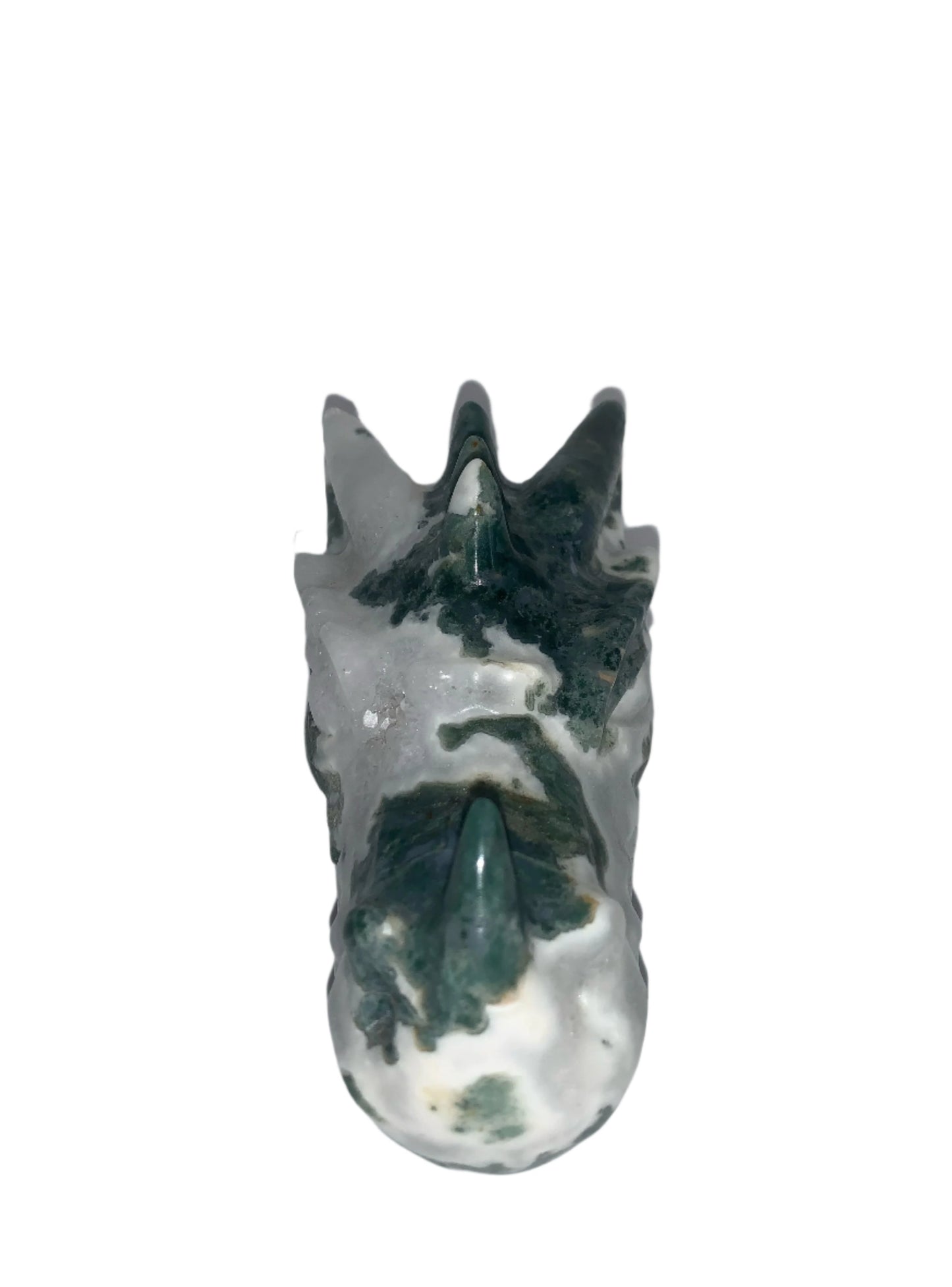 Tree Moss Agate Druzy 5.5" Dragon Skull