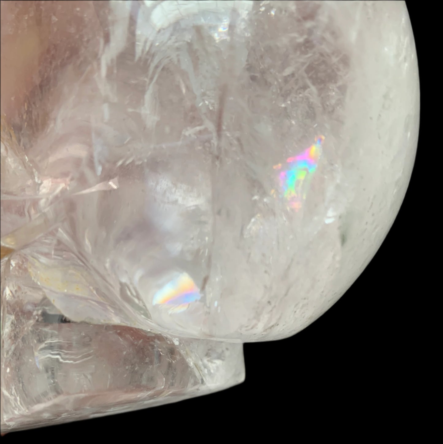 5" Himalayan Quartz Golden Healer Skull w/ Rainbows