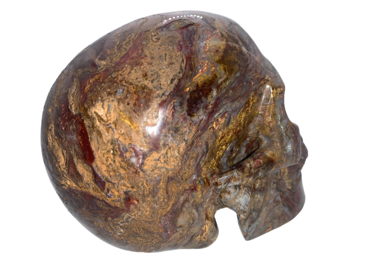 5.4" Pietersite Skull