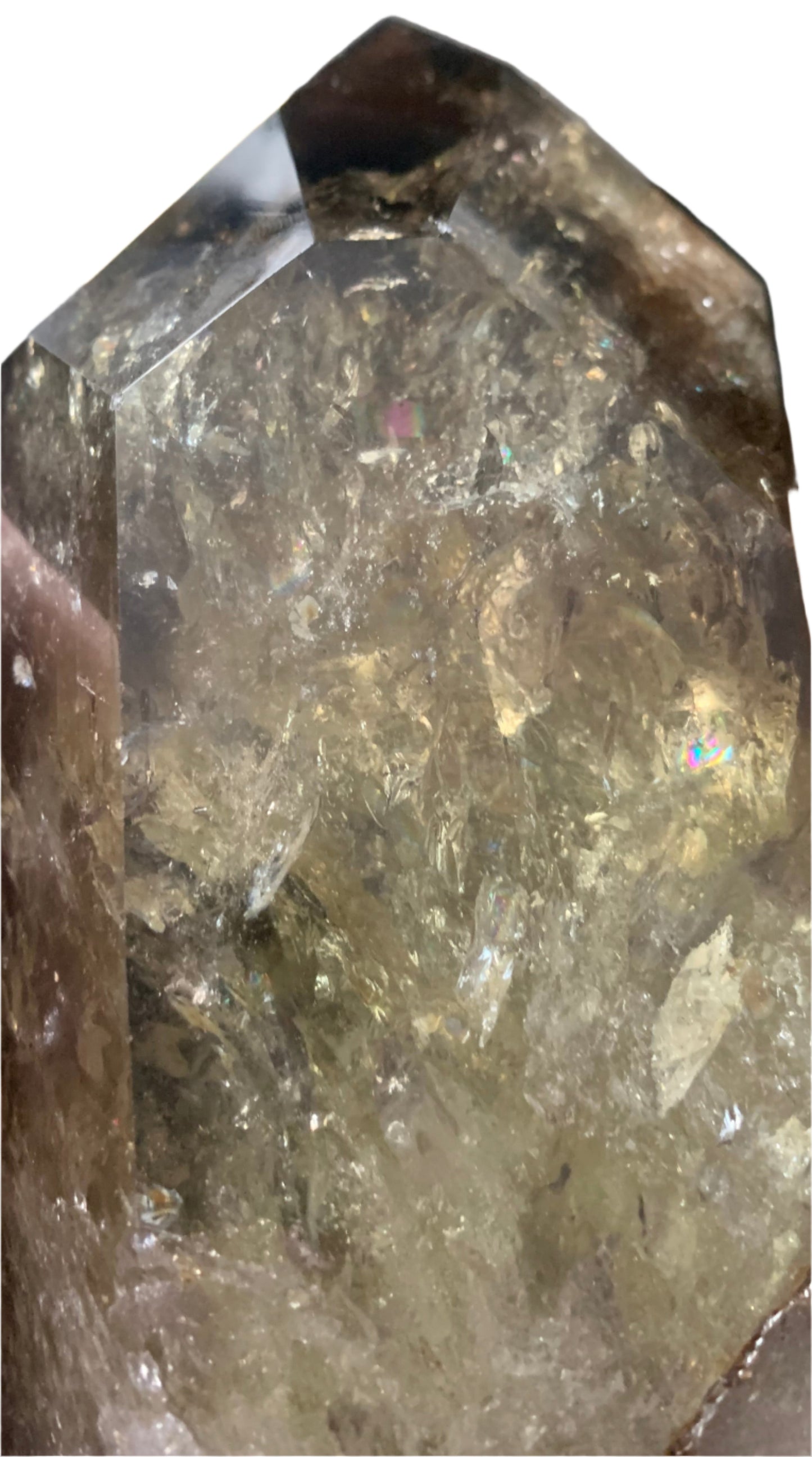 6.2" Smoky Citrine Channeler & Code Keeper Quartz Point w/ Rainbows
