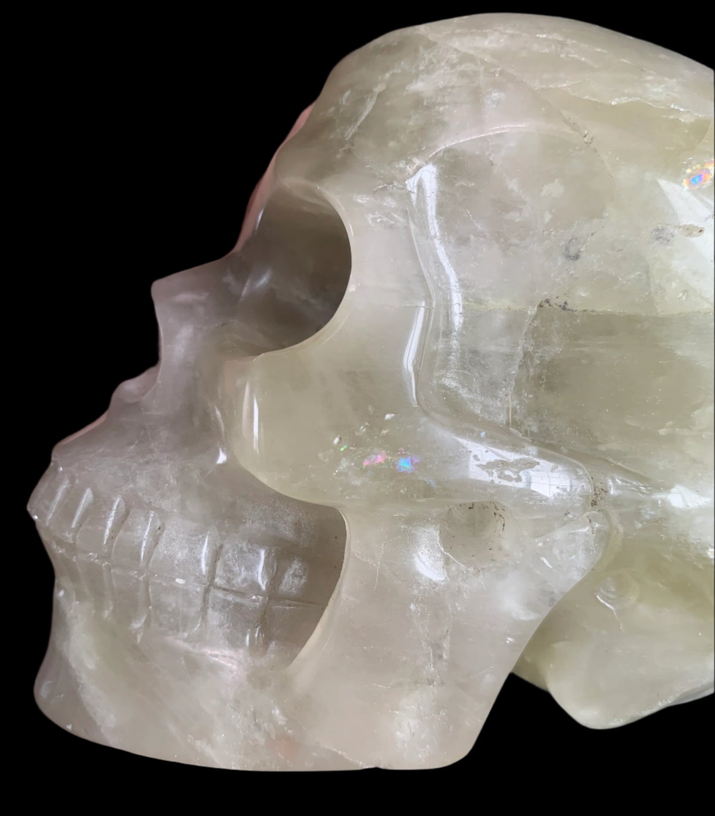 5.4" Citrine & Tourmaline Skull w/ Rainbows