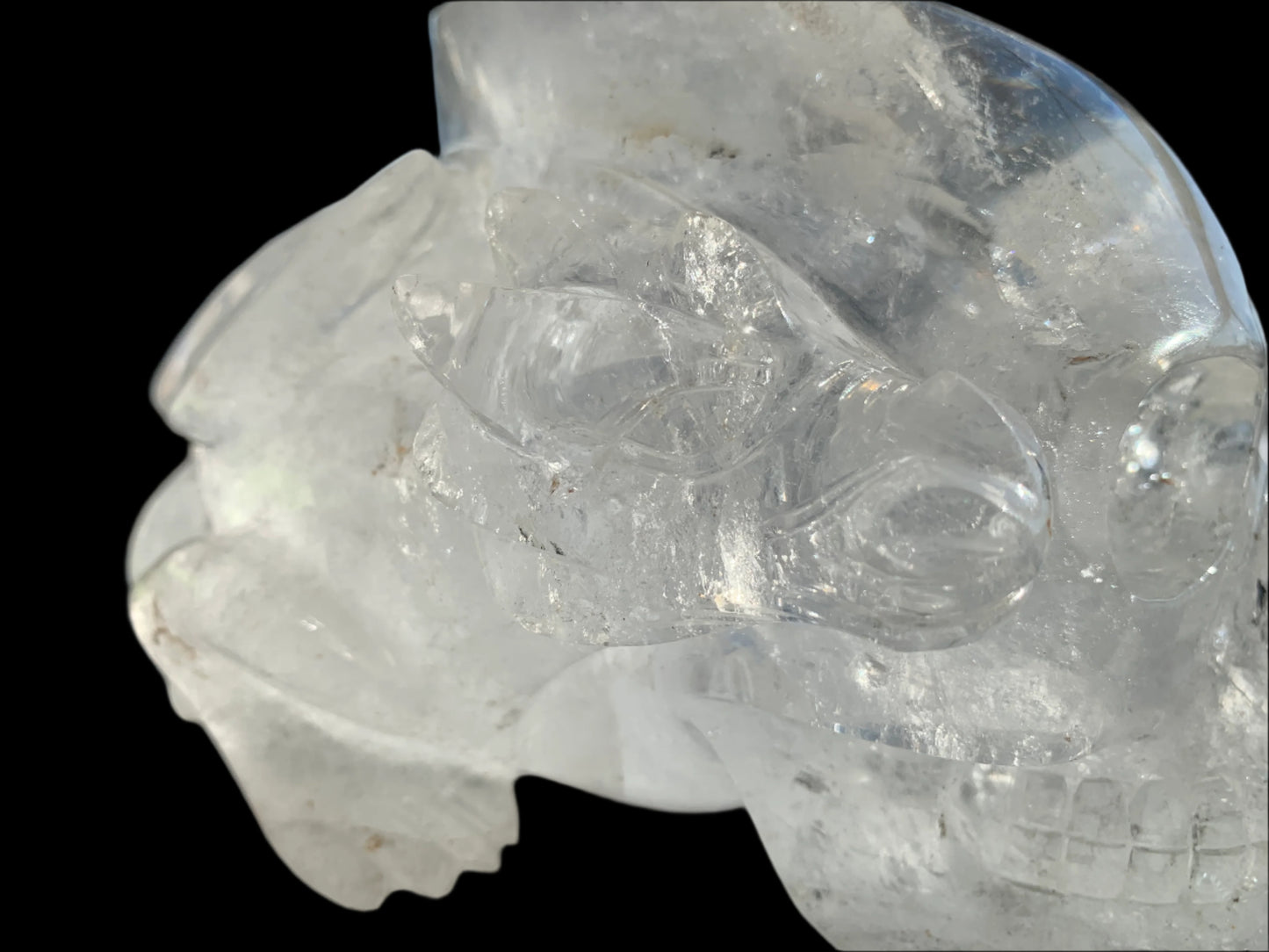 Leandro de Souza Lemurian Sirius Quartz Skull with Dragon