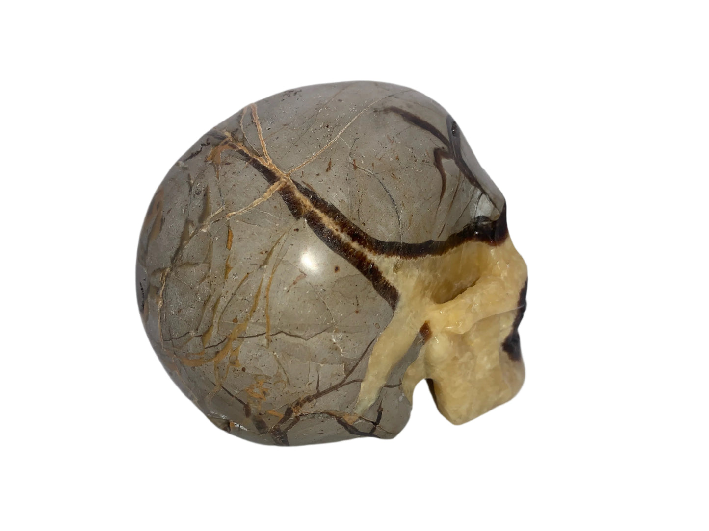 5.4" Septarian Skull