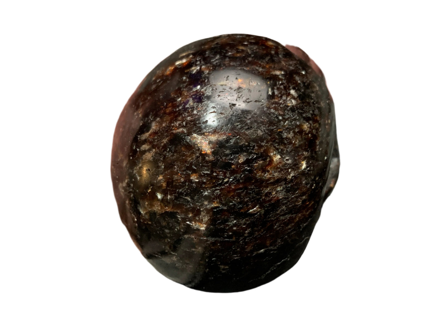 5.3" Garnet, Astrophyllite & Pyrite Skull