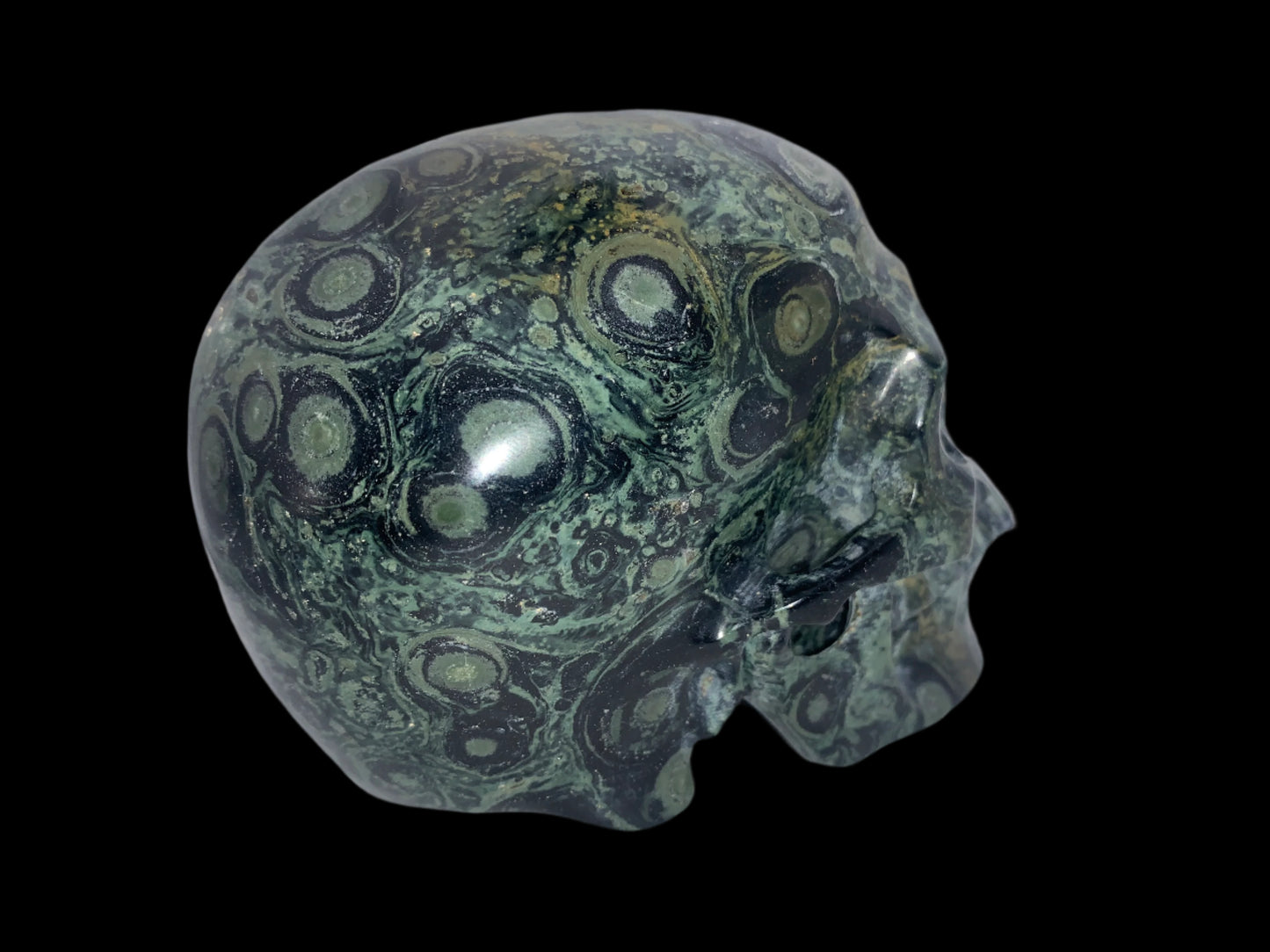 5.3" Kambaba Jasper