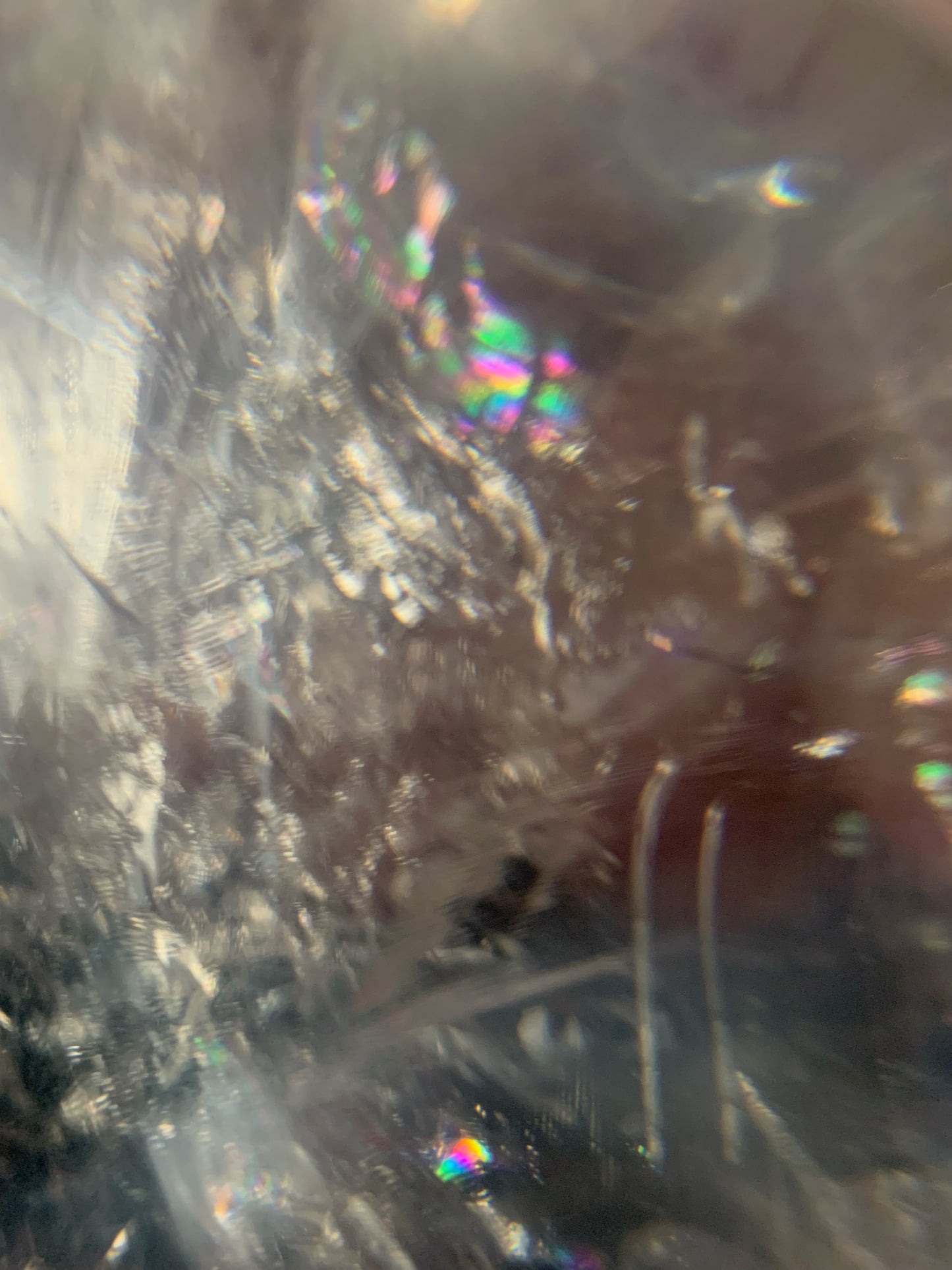 Himalayan Quartz Skull Star-brary w/ Rainbows