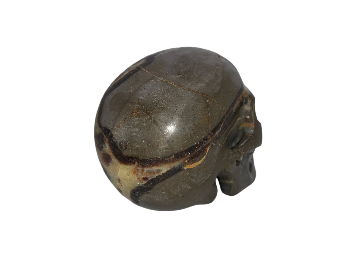 5.3" Septarian Skull