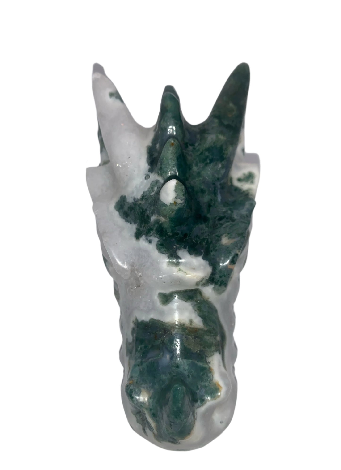 Tree Moss Agate Druzy 5.5" Dragon Skull