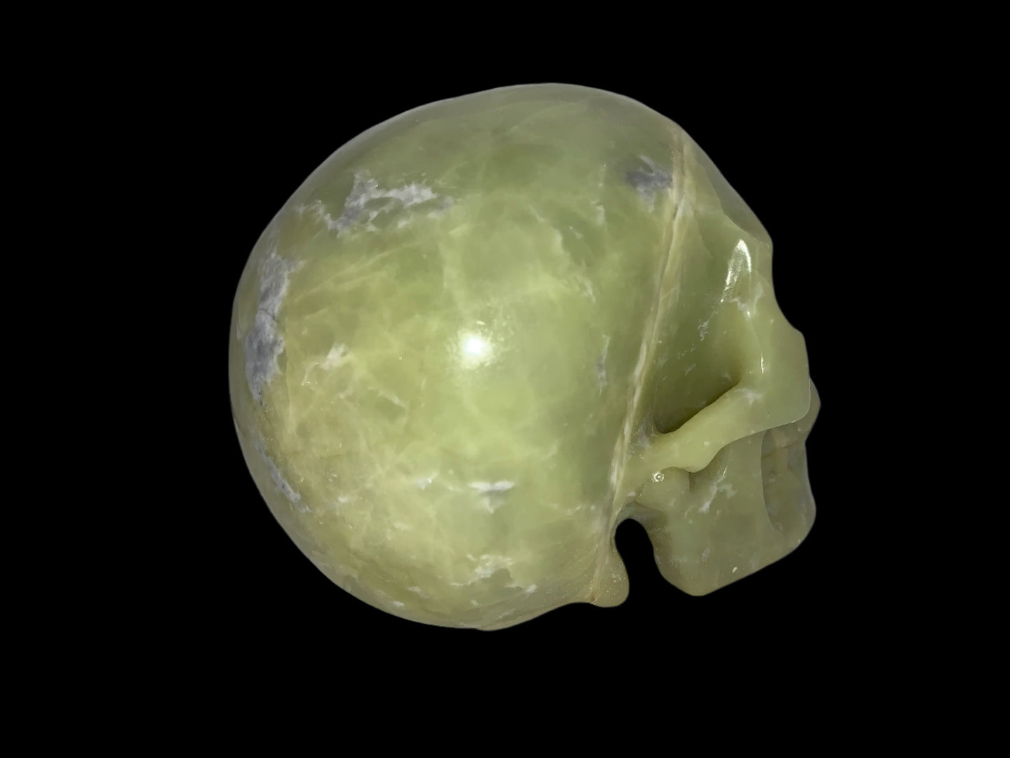 5.2" Serpentine Skull