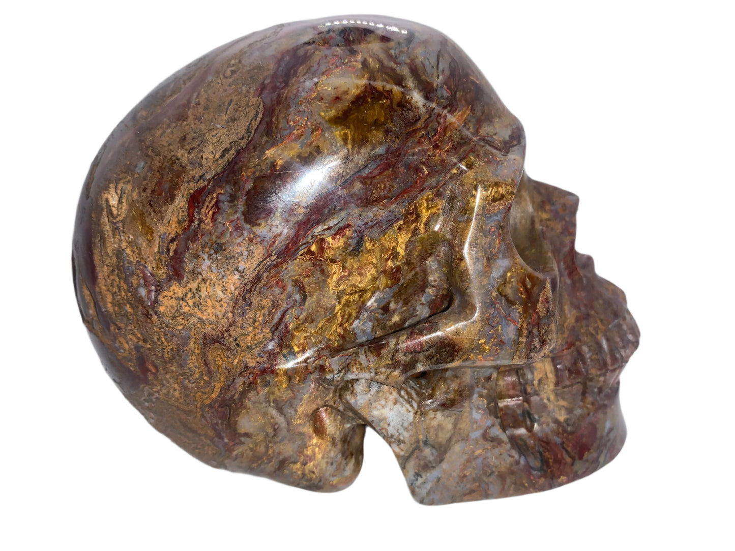5.4" Pietersite Skull