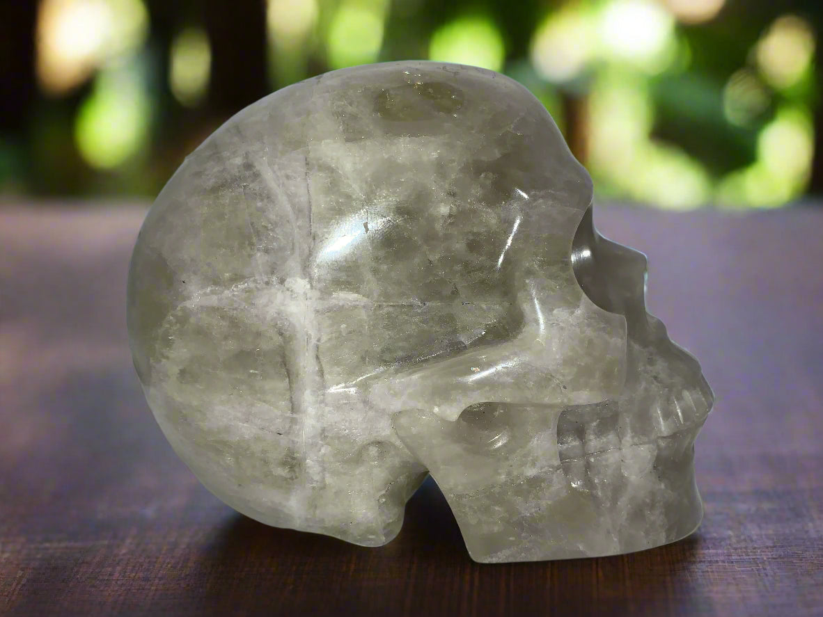 5.4" Citrine & Tourmaline Skull w/ Rainbows