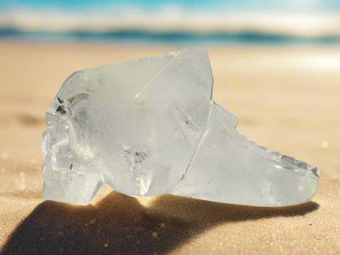 Leandro de Souza Lemurian Sirius Quartz Skull with Dragon