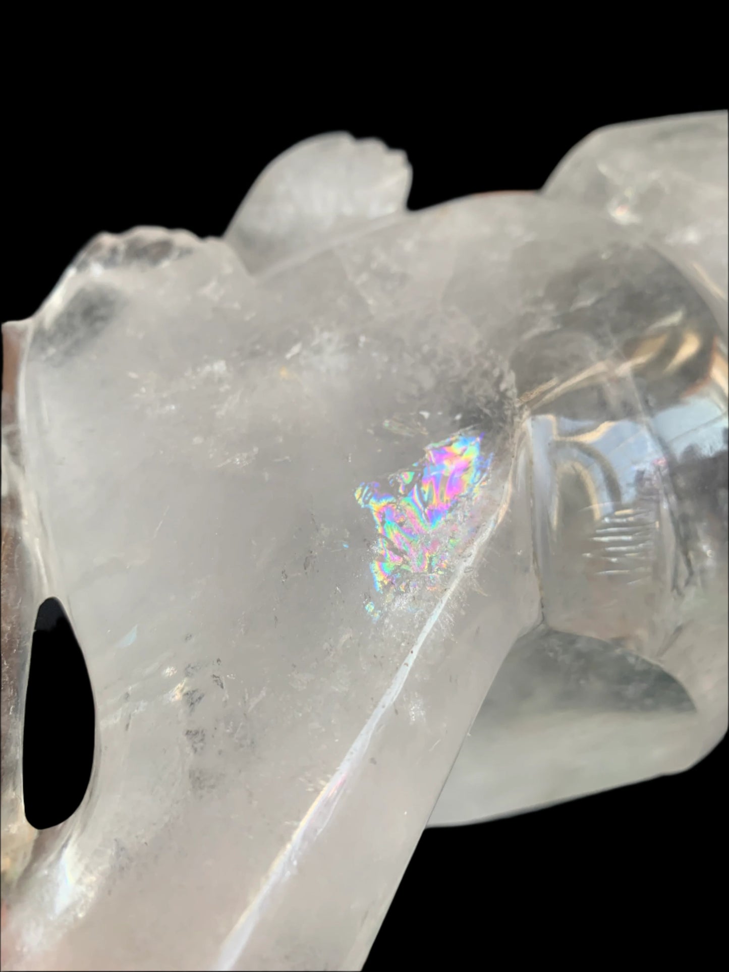 Leandro de Souza Lemurian Sirius Quartz Skull with Dragon