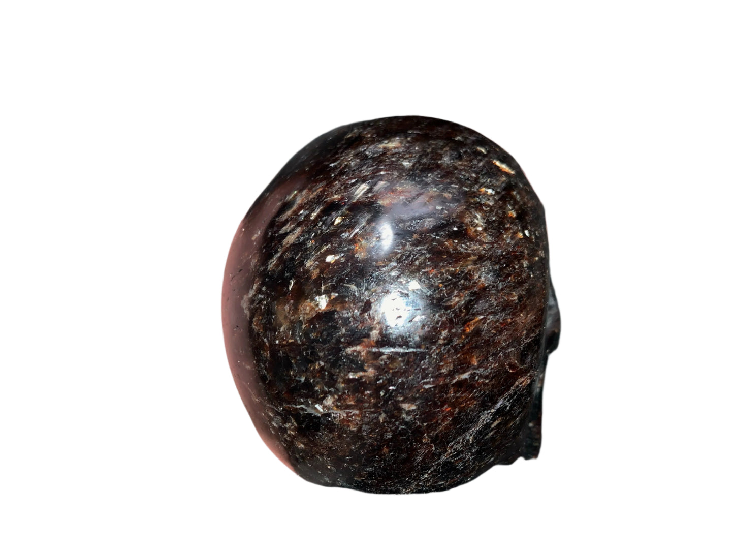 5.3" Garnet, Astrophyllite & Pyrite Skull