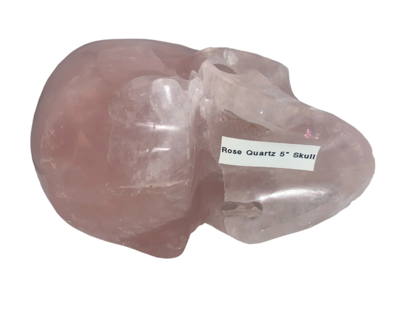 5.3" Rose Quartz Skull w/ Rainbows
