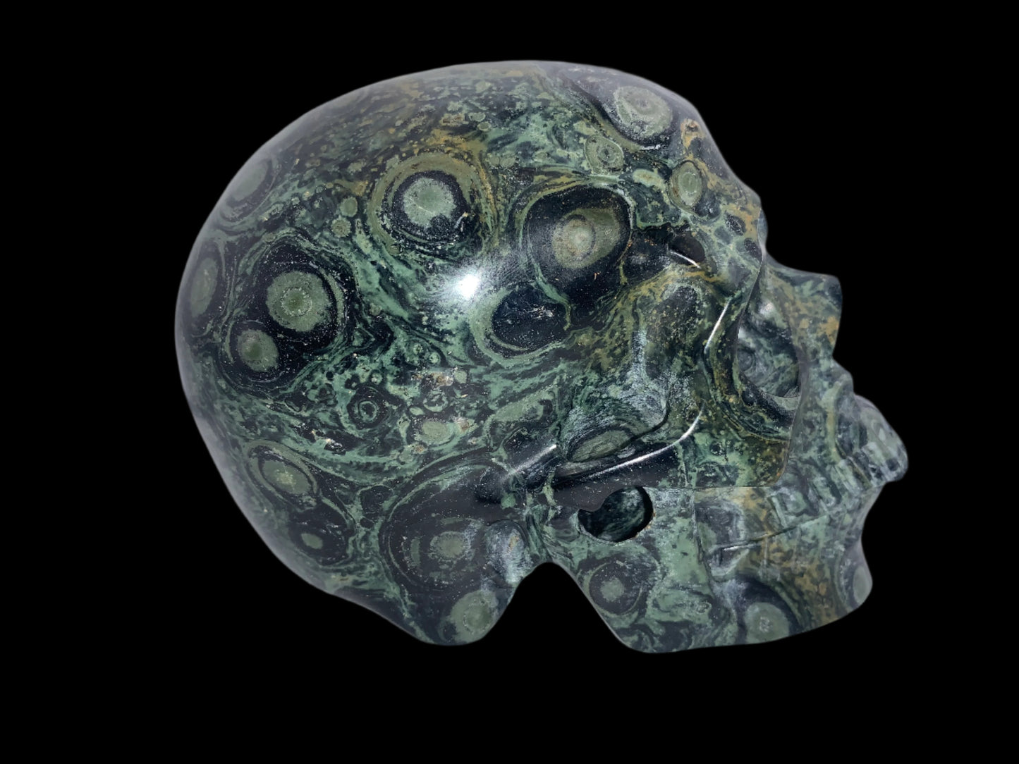 5.3" Kambaba Jasper