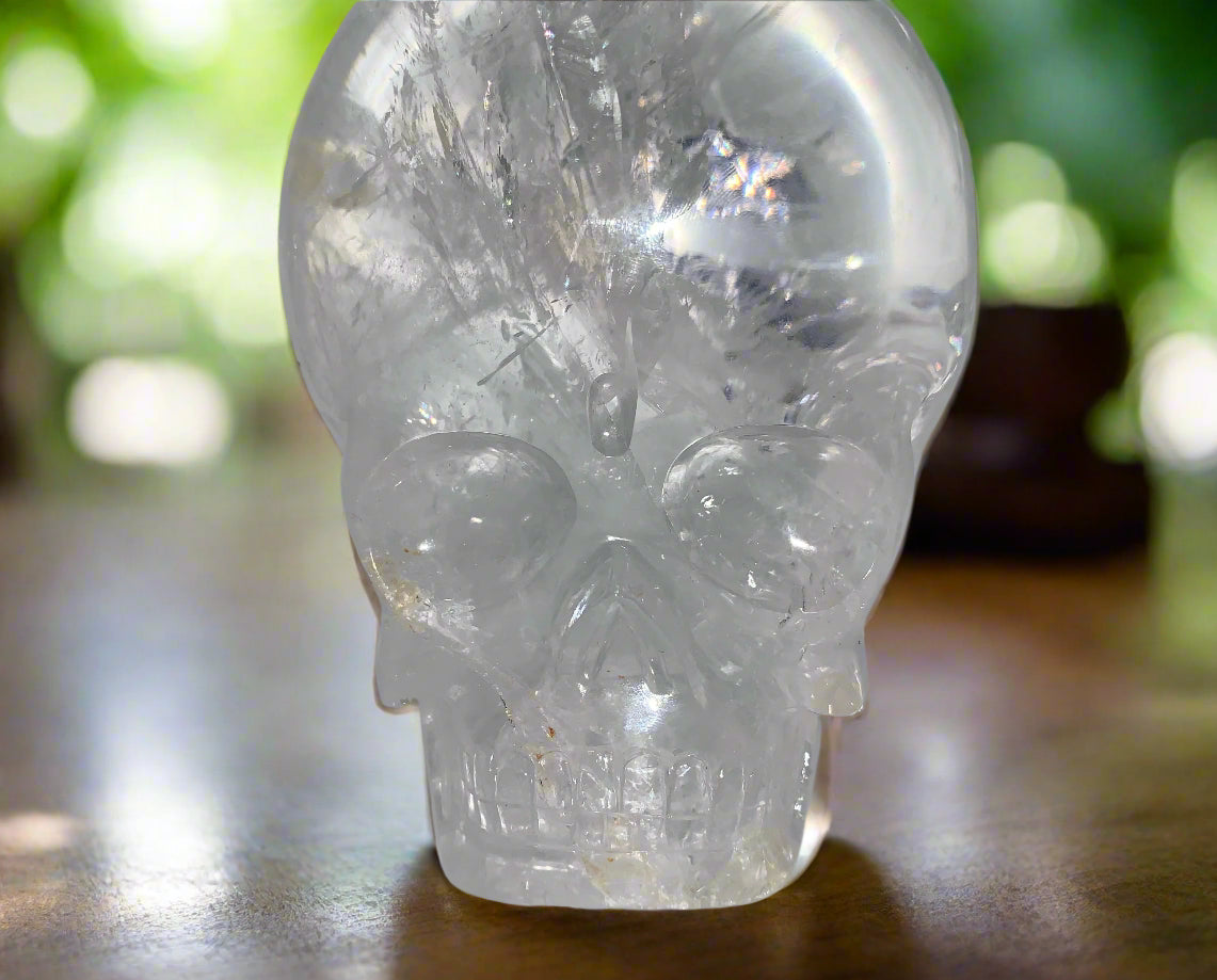 Himalayan Quartz Skull Star-brary w/ Rainbows