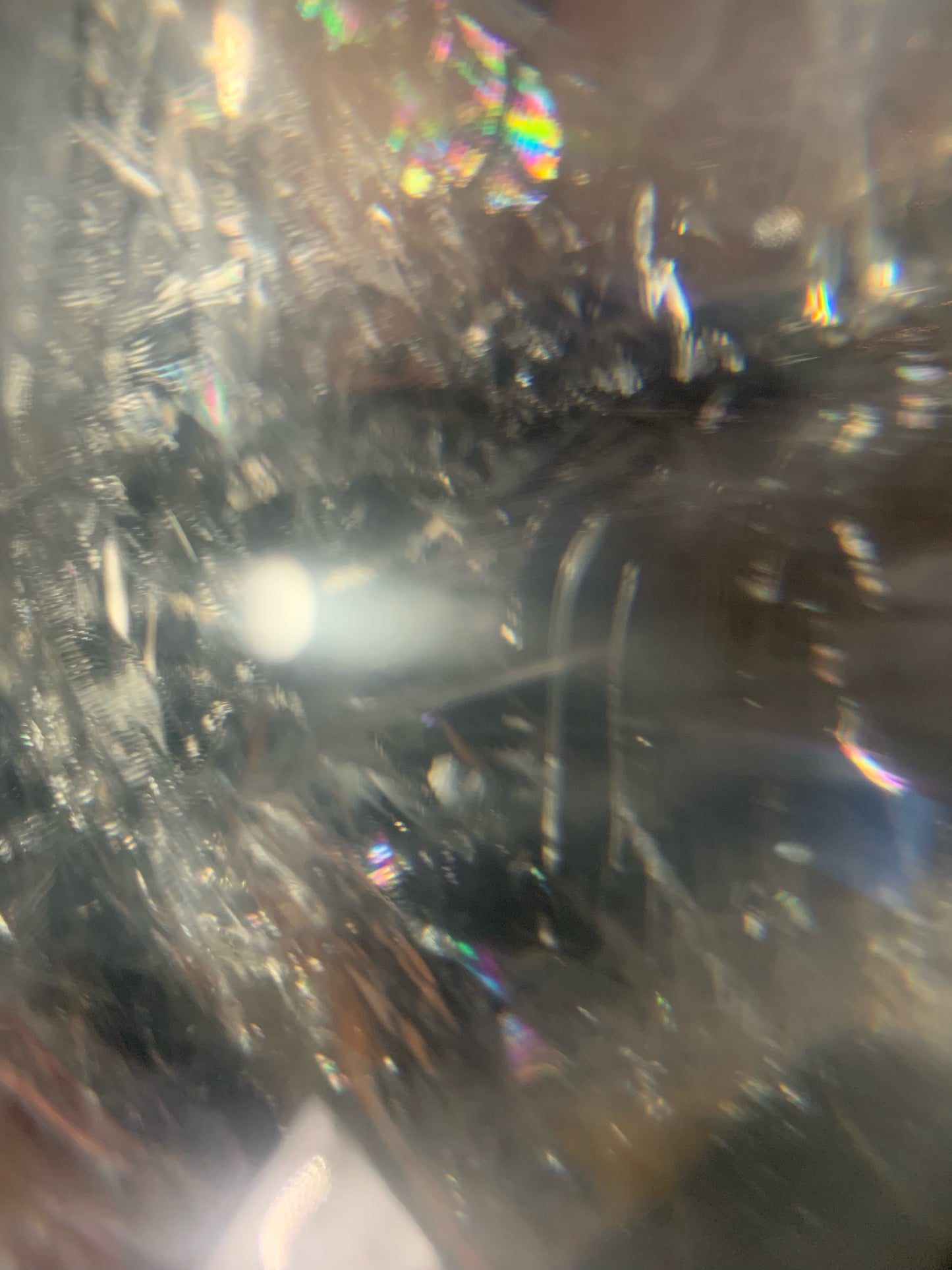 Himalayan Quartz Skull Star-brary w/ Rainbows
