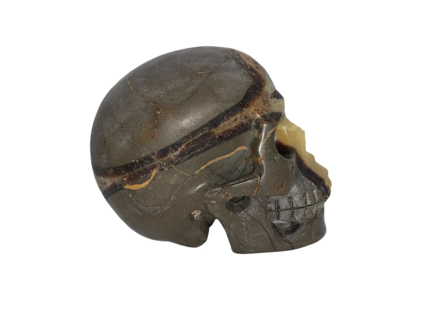 5.3" Septarian Skull