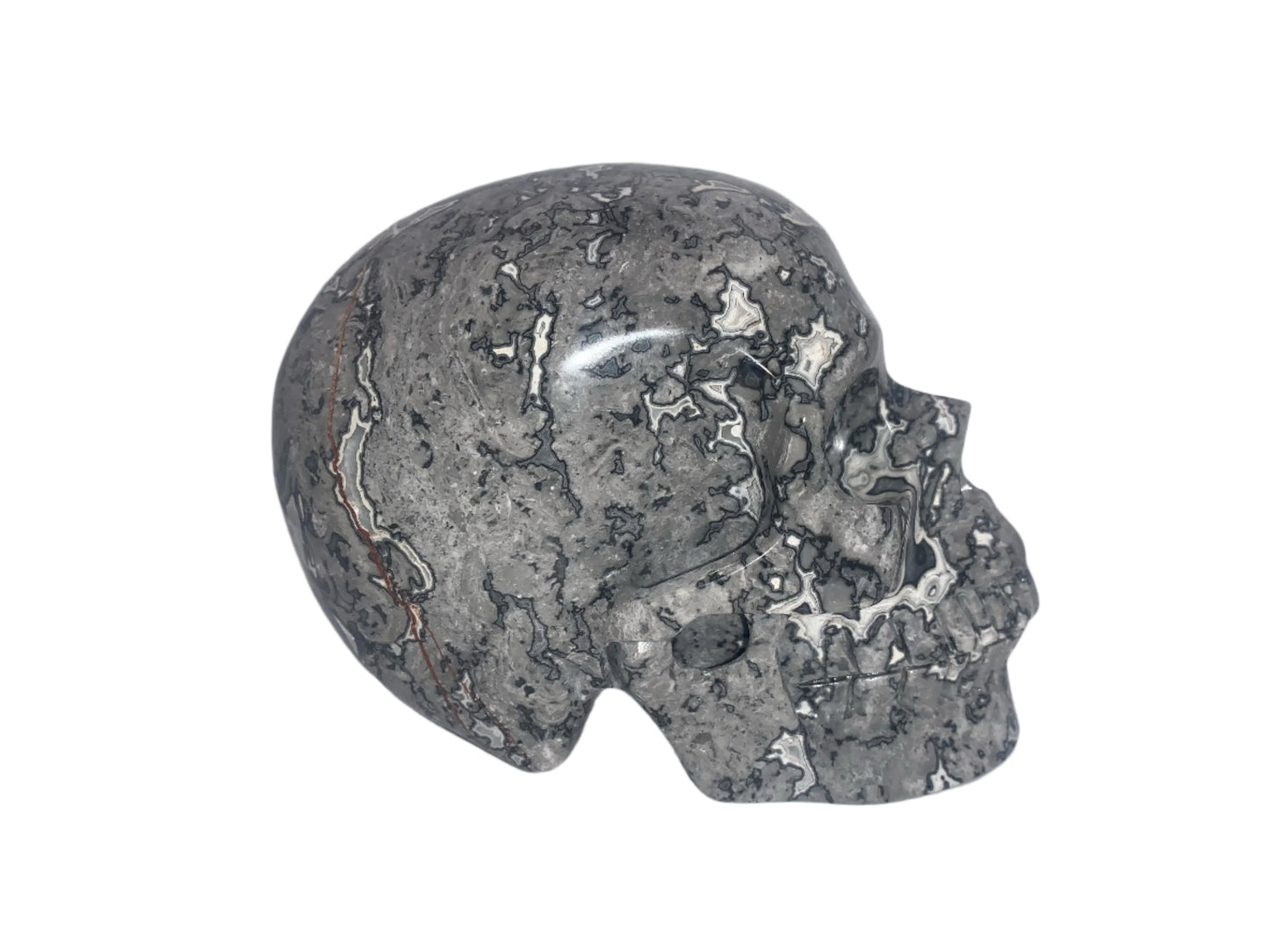 5.4" Picasso Jasper Skull